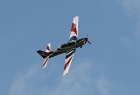 Tucano