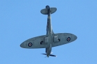 Spitfire