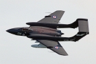 Sea Vixen