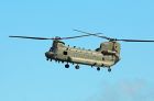 Chinook