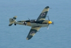 Buchon