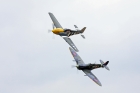 Spit P51d